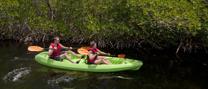 Canoe & Kayak Rentals